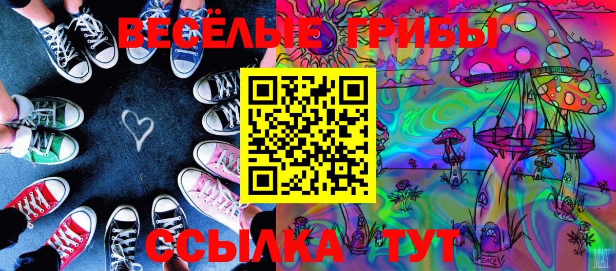 Галлюциногенные грибы Psilocybe Сухой Лог