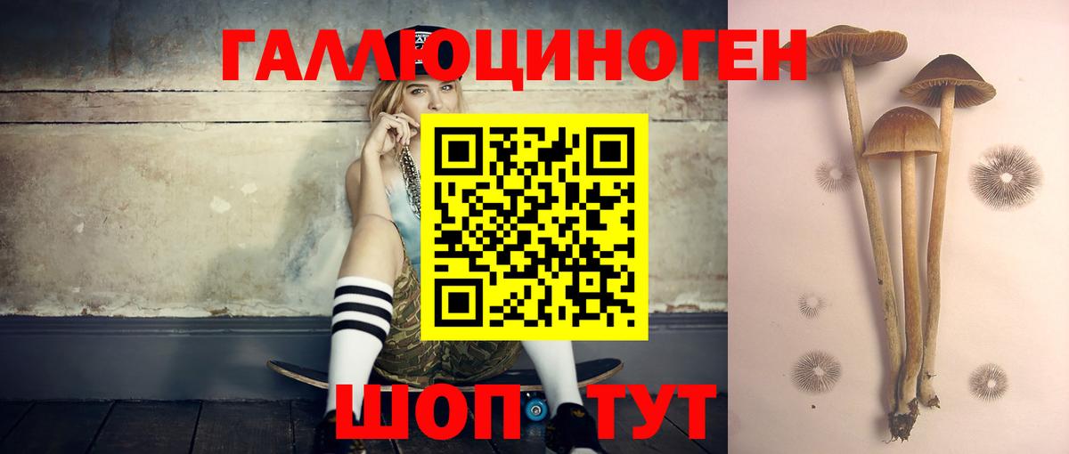 Галлюциногенные грибы ЛСД  Псилоцибиновые грибы MAGIC MUSHROOMS  Сухой Лог  Вход с VPN 